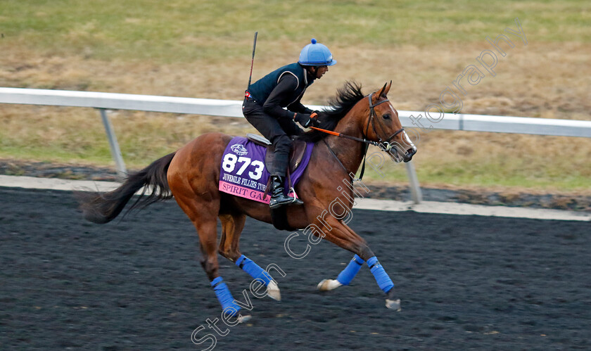 Spirit-Gal-0001 
 SPIRIT GAL training for the Breeders' Cup Juvenile Fillies Turf
Keeneland USA 1 Nov 2022 - Pic Steven Cargill / Racingfotos.com