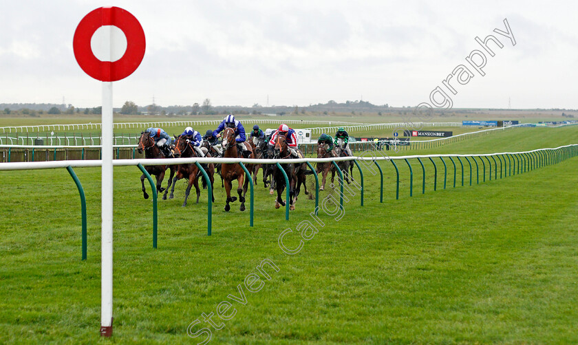 Numoor-0002 
 NUMOOR (Dane O'Neill) wins The Bet 10 Get 20 At Mansionbet Nursery
Newmarket 21 Oct 2020 - Pic Steven Cargill / Racingfotos.com