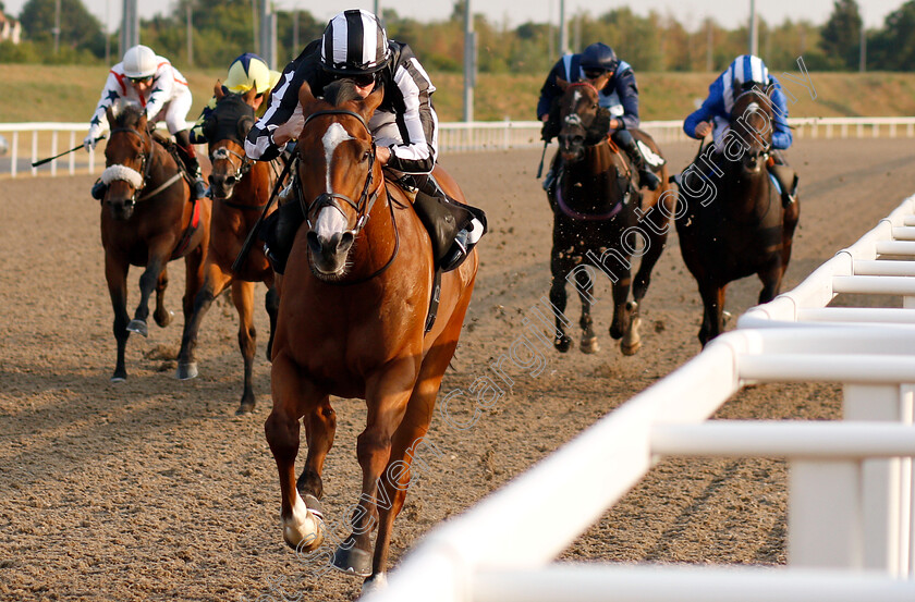 Cenotaph-0002 
 CENOTAPH (Ryan Moore) wins The Budweiser Handicap
Chelmsford 24 Jul 2018 - Pic Steven Cargill / Racingfotos.com