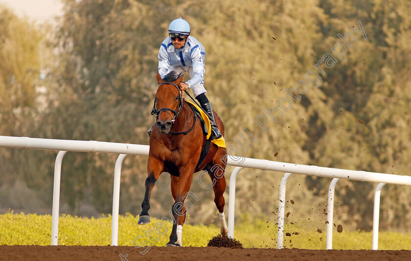 High-On-Life-0002 
 HIGH ON LIFE (Xavier Ziani) wins The Derrinstown Stud Conditions Race Jebel Ali 26 Jan 2018 - Pic Steven Cargill / Racingfotos.com