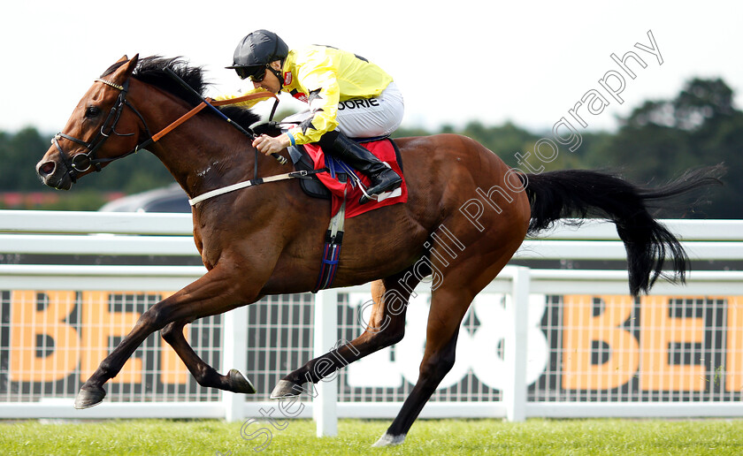 Beringer-0007 
 BERINGER (Martin Harley) wins The Beck Handicap
Sandown 15 Jun 2018 - Pic Steven Cargill / Racingfotos.com