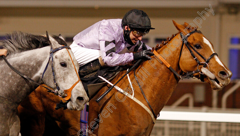 Dutch-Decoy-0005 
 DUTCH DECOY (Joe Fanning) wins The Injured Jockeys Fund Handicap
Chelmsford 14 Jan 2021 - Pic Steven Cargill / Racingfotos.com