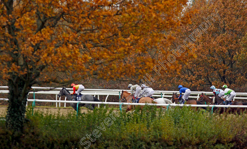 Lingfield-0001 
 Racing down the back straight at Lingfield 21 Nov 2017 - Pic Steven Cargill / Racingfotos.com