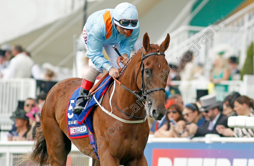 Dear-My-Friend-0002 
 DEAR MY FRIEND (Andrea Atzeni)
Epsom 3 Jun 2023 - Pic Steven Cargill / Racingfotos.com