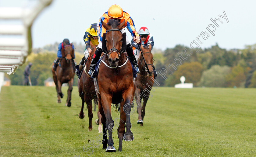 Torcedor-0004 
 TORCEDOR (Colm O'Donoghue) wins The Longines Sagaro Stakes Ascot 2 May 2018 - Pic Steven Cargill / Racingfotos.com