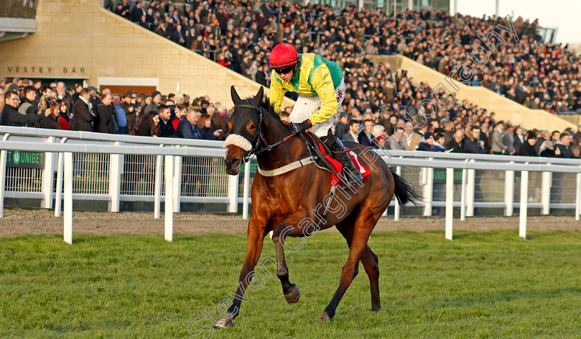 Fox-Norton-0004 
 FOX NORTON (Bryan Cooper) wins The Shloer Chase Cheltenham 19 Nov 2017 - Pic Steven Cargill / Racingfotos.com