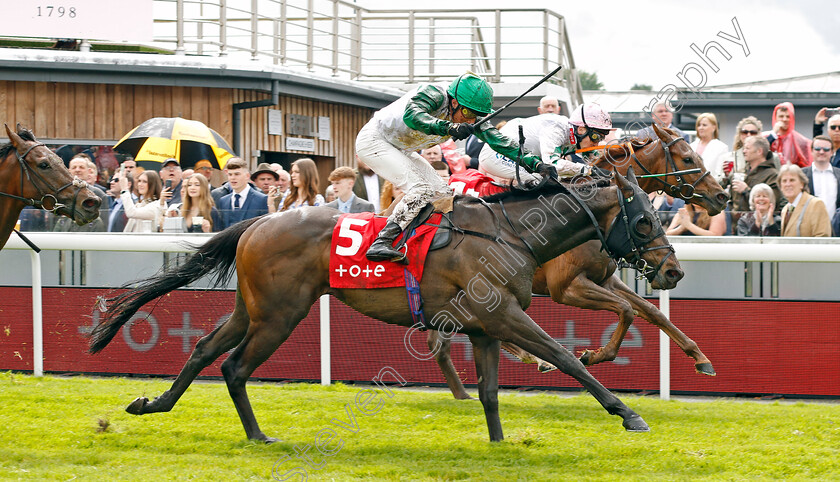 Danger-Alert-0003 
 DANGER ALERT (William Buick) wins The tote £100k Guaranteed Placepot Every Day Handicap
Chester 10 May 2023 - Pic Steven Cargill / Racingfotos.com