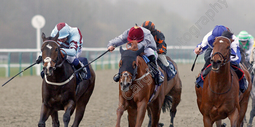 The-Warrior-0005 
 THE WARRIOR (right, Daniel Muscutt) beats AL DAIHA (centre) and TANQEEB (left) in The Bombardier March To Your Own Drum Handicap
Lingfield 4 Mar 2020 - Pic Steven Cargill / Racingfotos.com