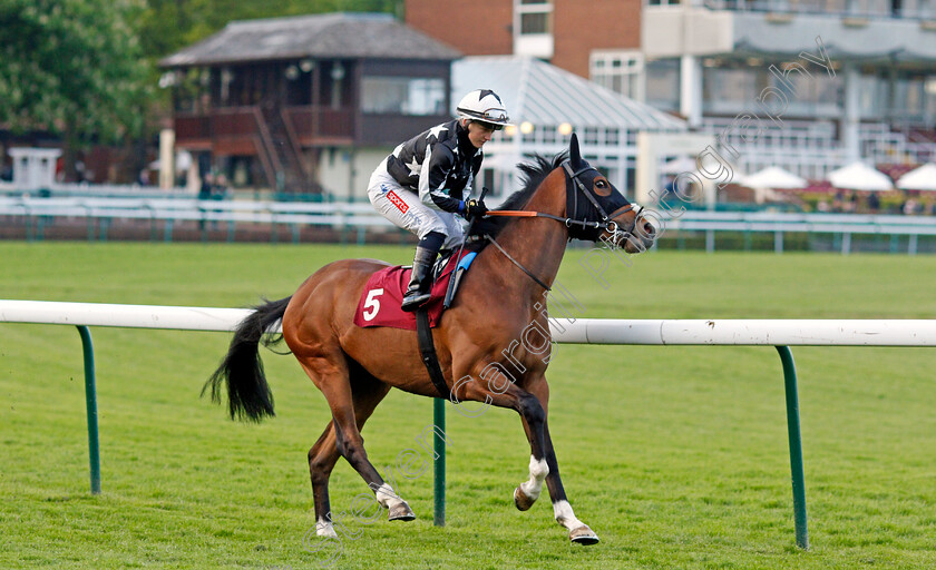 Monte-Carlo-Bay-0001 
 MONTE CARLO BAY (Hollie Doyle)
Haydock 28 May 2021 - Pic Steven Cargill / Racingfotos.com