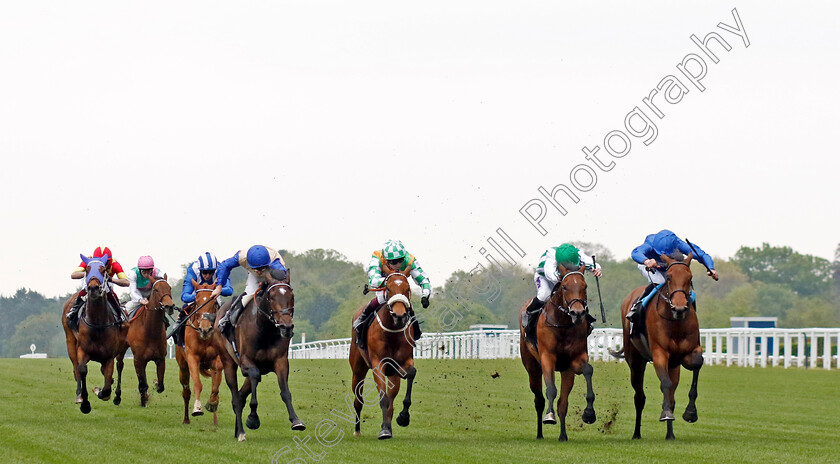 Diamond-Rain-0007 
 DIAMOND RAIN (William Buick) beats SHAHA (2nd right) and CHORUS (left) in The Darley British EBF Fillies Novice Stakes
Ascot 1 May 2024 - Pic Steven Cargill / Racingfotos.com