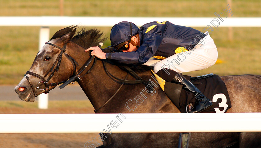 Ghaziyah-0005 
 GHAZIYAH (James Doyle) wins The Budweiser Brewing Group Novice Stakes Div2
Chelmsford 23 Jul 2019 - Pic Steven Cargill / Racingfotos.com