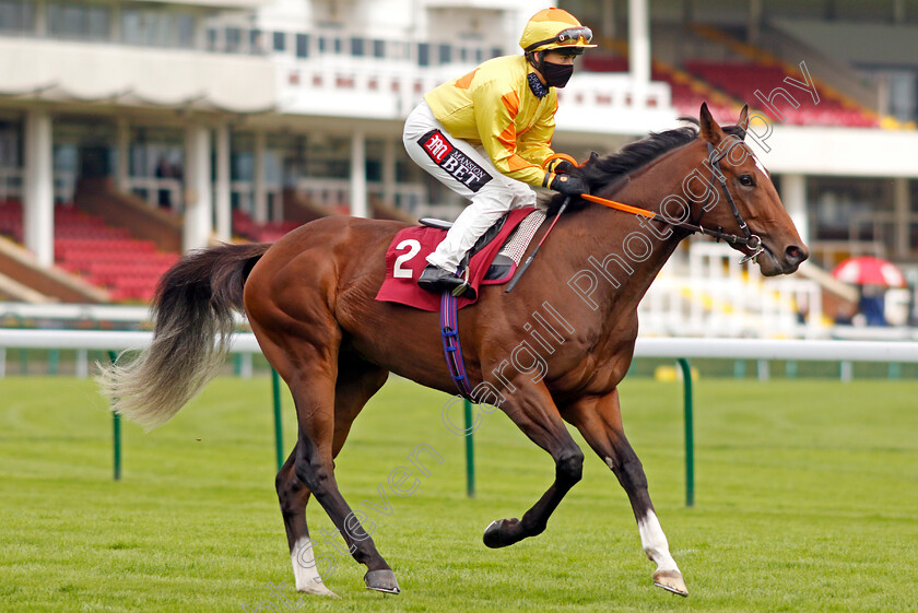 Astronomic-Choice-0001 
 ASTRONOMIC CHOICE (Hayley Turner)
Haydock 3 Sep 2020 - Pic Steven Cargill / Racingfotos.com