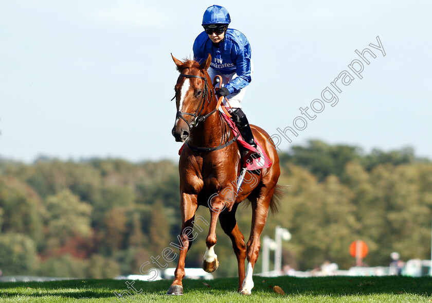 Al-Mikdam-0001 
 AL MIKDAM (Hayley Turner)
Sandown 19 Sep 2018 - Pic Steven Cargill / Racingfotos.com