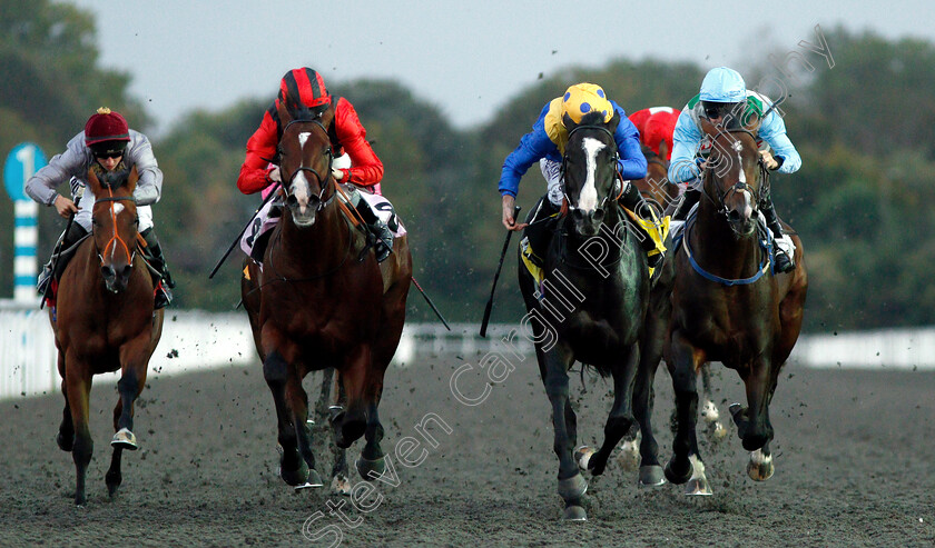 Ledham-0003 
 LEDHAM (2nd right, Ryan Moore) beats HOMBRE CASADO (2nd left) and SIR HAMILTON (right) in The 32Red Handicap
Kempton 18 Sep 2018 - Pic Steven Cargill / Racingfotos.com