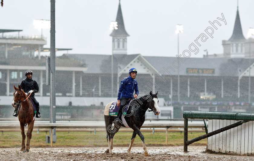 Talismanic-and-Waldgeist-0001 
 TALISMANIC and WALDGEIST exercising ahead of The Breeders' Cup Turf
Churchill Downs USA 1 Nov 2018 - Pic Steven Cargill / Racingfotos.com