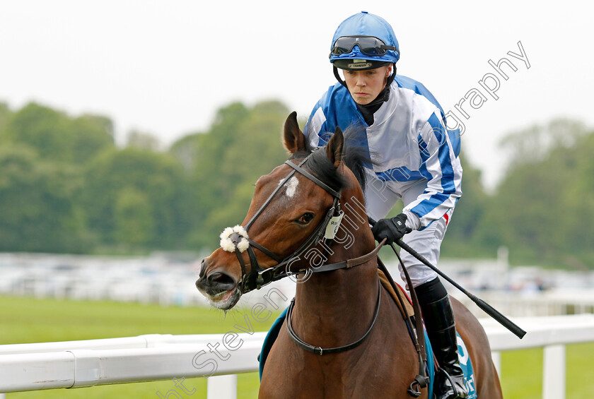 Socialise-0001 
 SOCIALISE (Faye McManoman)
York 18 May 2023 - Pic Steven Cargill / Racingfotos.com