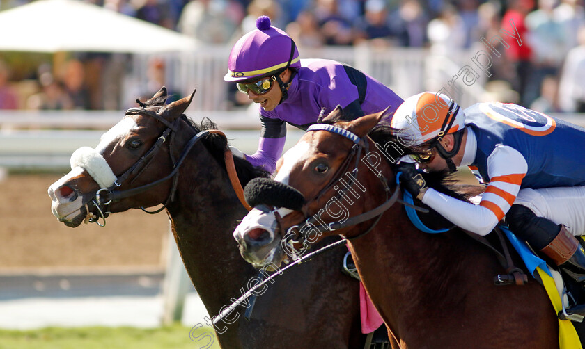 Wet-My-Beak-0002 
 WET MY BEAK (left, Jose Ortiz) beats ELM DRIVE (right) in The Senator Ken Maddy Stakes
Santa Anita 3 Nov 2023 - Pic Steven Cargill / Racingfotos.com