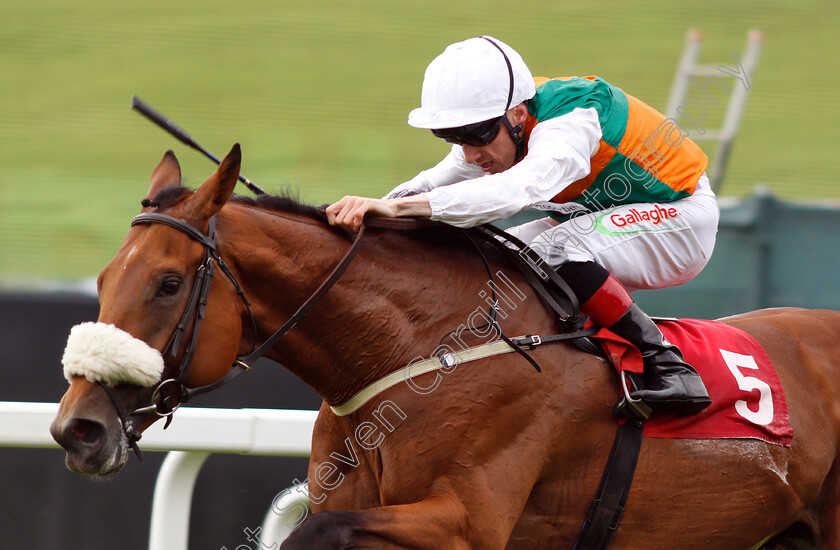 Vis-A-Vis-0003 
 VIS A VIS (Shane Kelly) wins The Randox Food Handicap
Sandown 16 Jun 2018 - Pic Steven Cargill / Racingfotos.com