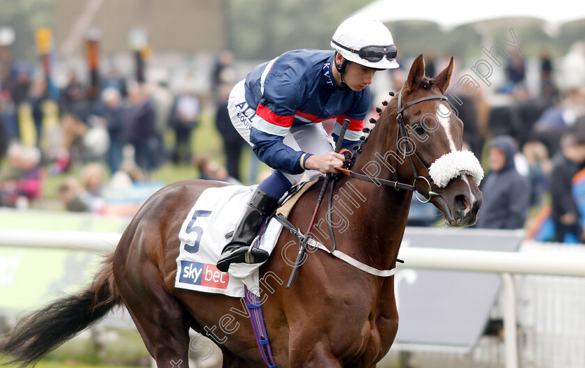 Contango-0002 
 CONTANGO (Oisin Murphy)
York 16 May 2018 - Pic Steven Cargill / Racingfotos.com