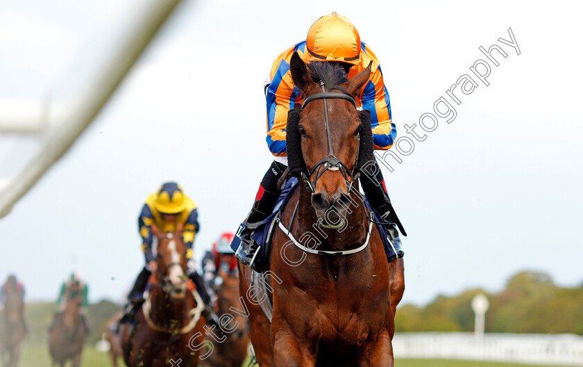 Torcedor-0006 
 TORCEDOR (Colm O'Donoghue) wins The Longines Sagaro Stakes Ascot 2 May 2018 - Pic Steven Cargill / Racingfotos.com