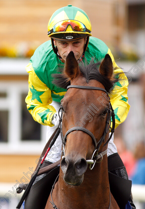 Barbill-0001 
 BARBILL (Gerald Mosse)
York 15 Jun 2019 - Pic Steven Cargill / Racingfotos.com