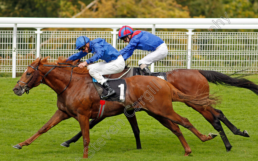 Act-Of-Wisdom-0007 
 ACT OF WISDOM (James Doyle) wins The Download The Tote Placepot App Future Stayers EBF Maiden Stakes
Goodwood 23 Sep 2020 - Pic Steven Cargill / Racingfotos.com