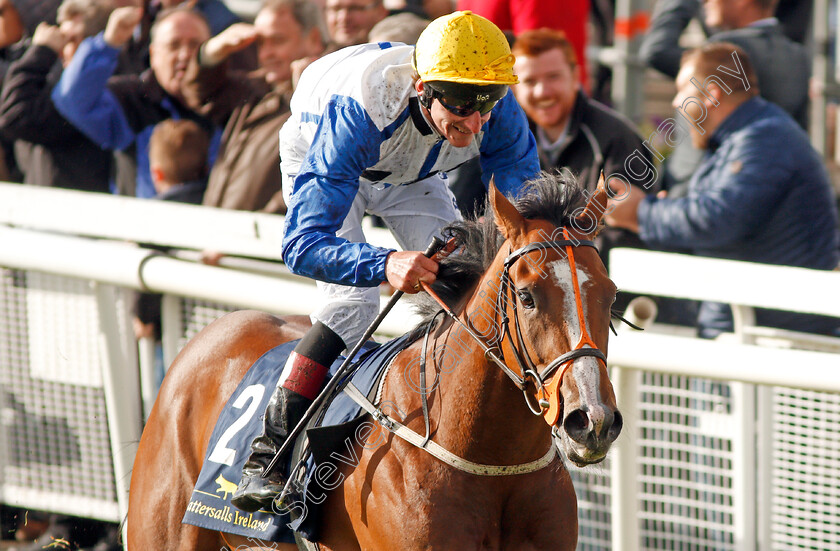 Snazzy-Jazzy-0005 
 SNAZZY JAZZY (Adam Kirby) wins The Tattersalls Ireland Super Auction Sale Stakes Curragh 10 Sep 2017 - Pic Steven Cargill / Racingfotos.com