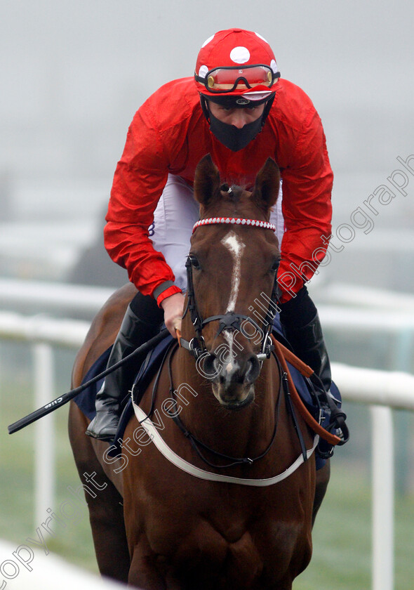 Bradley-Hall-0001 
 BRADLEY HALL (Clifford Lee)
Doncaster 7 Nov 2020 - Pic Steven Cargill / Racingfotos.com