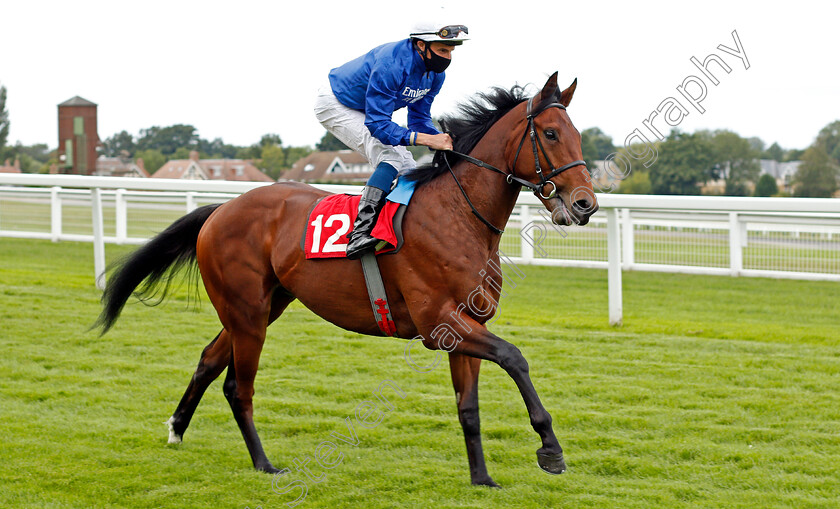 One-Ruler-0001 
 ONE RULER (William Buick) winner of The Betway Maiden Stakes
Sandown 23 Aug 2020 - Pic Steven Cargill / Racingfotos.com