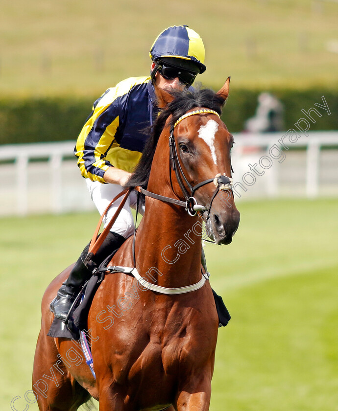 It s-All-About-You-0001 
 IT'S ALL ABOUT YOU (Thomas Greatrex)
Goodwood 27 Aug 2022 - Pic Steven Cargill / Racingfotos.com