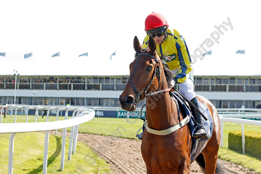 Bo-Zenith-0001 
 BO ZENITH (Jamie Moore)
Aintree 13 Apr 2023 - Pic Steven Cargill / Racingfotos.com