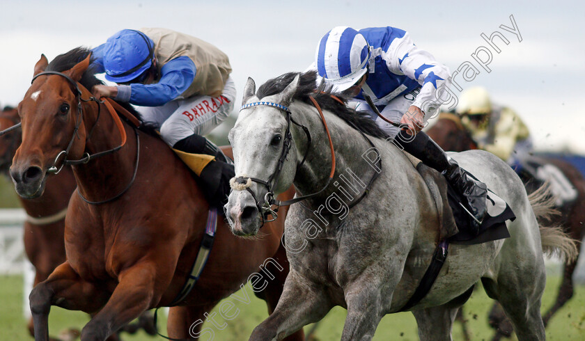 Dark-Shift-0005 
 DARK SHIFT (right, Daniel Tudhope) wins The Racing To School Classified Stakes
Ascot 1 Oct 2021 - Pic Steven Cargill / Racingfotos.com