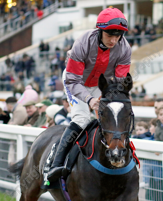 Cracking-Rhapsody-0001 
 CRACKING RHAPSODY (Craig Nichol)
Cheltenham 17 Nov 2024 - Pic Steven Cargill / Racingfotos.com