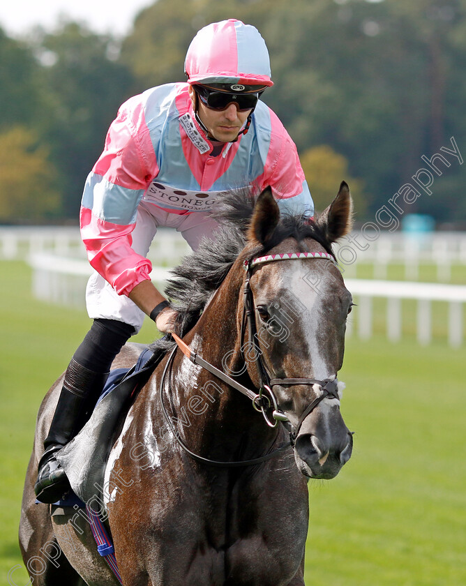 The-Ice-Phoenix-0002 
 THE ICE PHOENIX (Kevin Stott)
Ascot 8 Sep 2023 - Pic Steven Cargill / Racingfotos.com