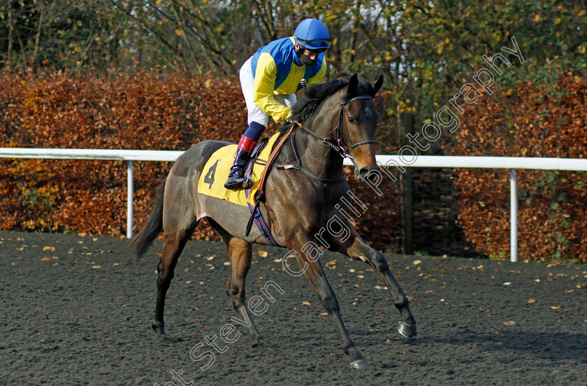 Belafonte-0001 
 BELAFONTE (Edward Greatrex)
Kempton 25 Nov 2020 - Pic Steven Cargill / Racingfotos.com