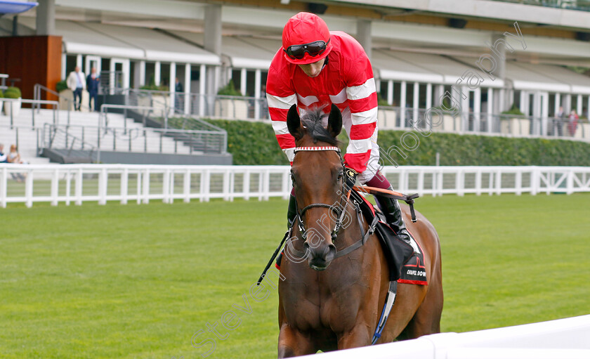 Zouzanna-0001 
 ZOUZANNA (Oisin Murphy)
Ascot 26 Jul 2024 - Pic Steven Cargill / Racingfotos.com