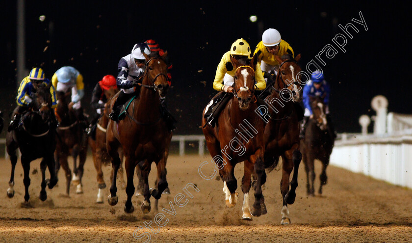 Noble-Expression-0004 
 NOBLE EXPRESSION (centre, Jack Mitchell) wins The Weatherbys General Stud Book Online EBF Novice Stakes Chelmsford 23 Nov 2017 - Pic Steven Cargill / Racingfotos.com