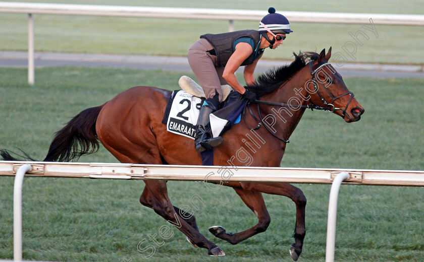 Emaraaty-Ana-0002 
 EMARAATY ANA training for the Al Quoz Sprint
Meydan, Dubai, 22 Mar 2022 - Pic Steven Cargill / Racingfotos.com