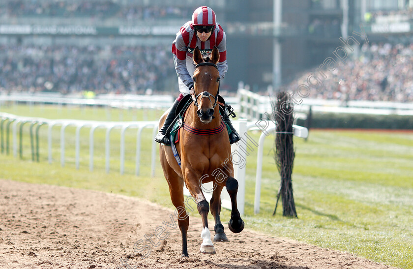 Flemcara-0001 
 FLEMCARA (Aidan Coleman)
Aintree 6 Apr 2019 - Pic Steven Cargill / Racingfotos.com