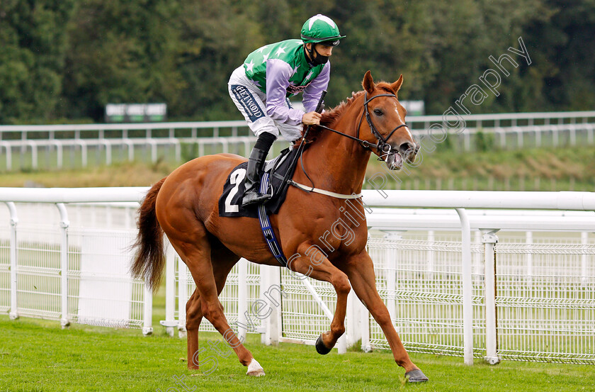 Lihou-0001 
 LIHOU (Harry Bentley)
Goodwood 23 Sep 2020 - Pic Steven Cargill / Racingfotos.com