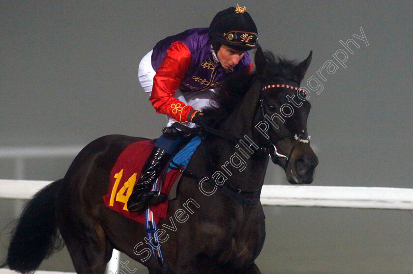 Calmly-0001 
 CALMLY (William Buick)
Kempton 16 Dec 2022 - Pic Steven Cargill / Racingfotos.com