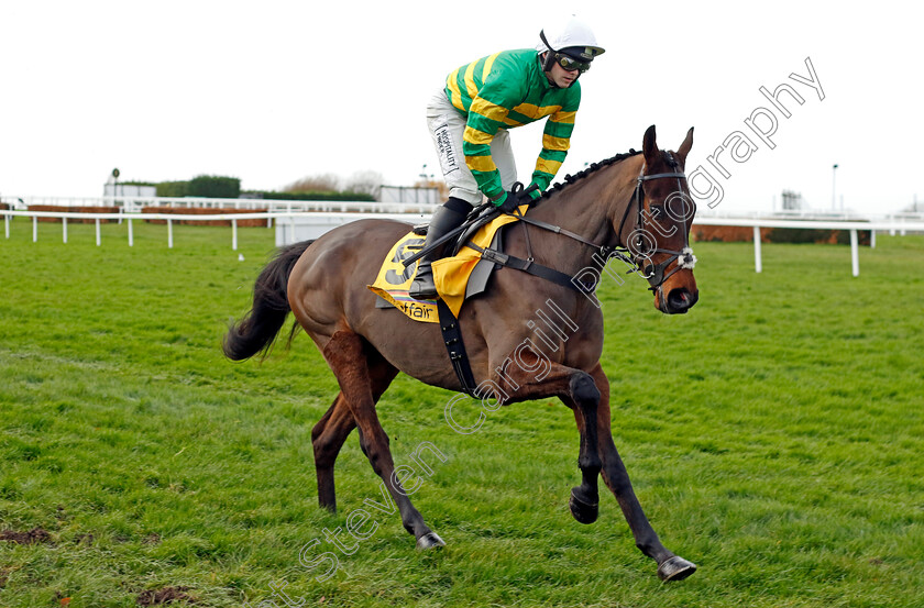 Petit-Tonnerre-0001 
 PETIT TONNERRE (Jonjo O'Neill)
Sandown 9 Dec 2023 - Pic Steven Cargill / Racingfotos.com