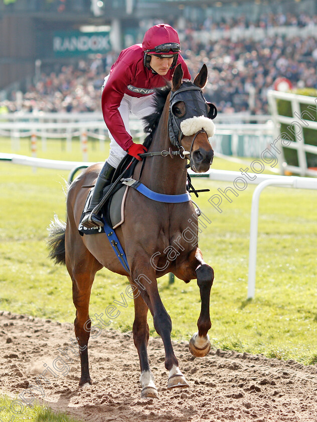 Adrimel 
 ADRIMEL (Tom Bellamy)
Aintree 9 Apr 2022 - Pic Steven Cargill / Racingfotos.com