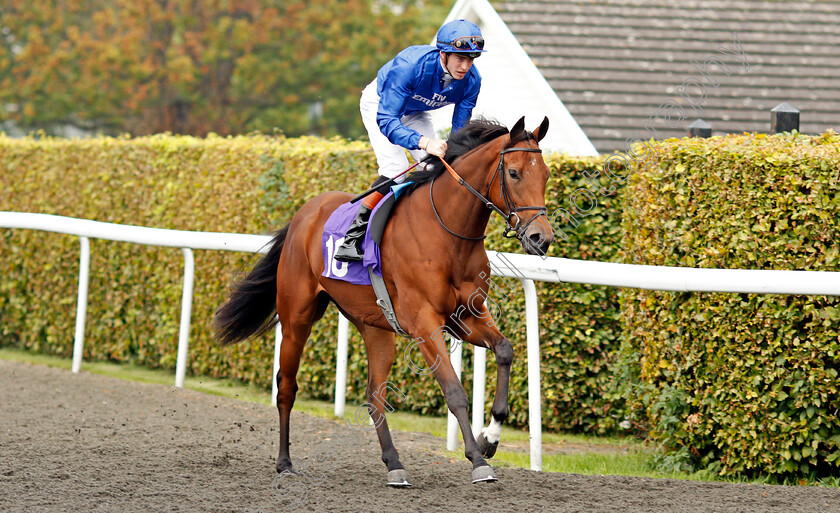 Murasaki-0001 
 MURASAKI (James Doyle) Kempton 25 Sep 2017 - Pic Steven Cargill / Racingfotos.com