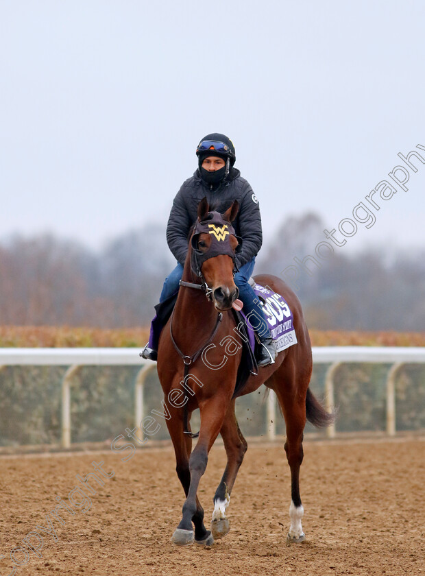 Love-Reigns-0001 
 LOVE REIGNS training for the Breeders' Cup Juvenile Turf Sprint
Keeneland USA 1 Nov 2022 - Pic Steven Cargill / Racingfotos.com