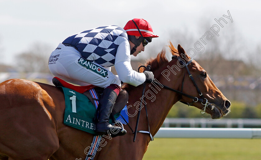 Banbridge-0005 
 BANBRIDGE (J J Slevin) wins The Racehorse Lotto Manifesto Novices Chase
Aintree 13 Apr 2023 - Pic Steven Cargill / Racingfotos.com