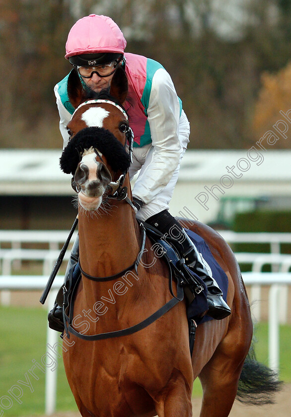 Frisella-0001 
 FRISELLA (Robert Havlin)
Wolverhampton 28 Nov 2018 - Pic Steven Cargill / Racingfotos.com