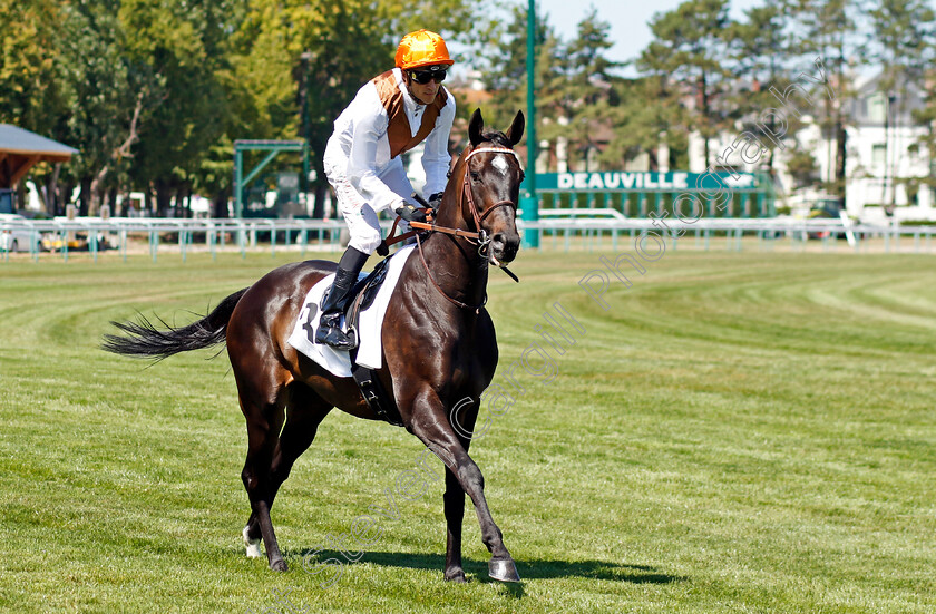 Glycon-0002 
 GLYCON (JB Eyquem)
Deauville 7 Aug 2022 - Pic Steven Cargill / Racingfotos.com