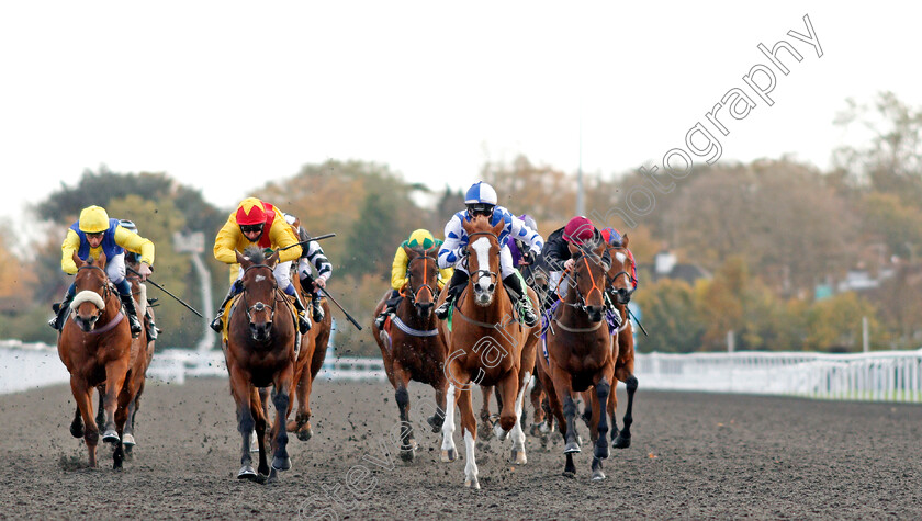 Party-Island-0003 
 PARTY ISLAND (right, George Bass) beats MINI MILK (2nd left) in The Try Our New Price Boosts At Unibet Handicap
Kempton 2 Nov 2020 - Pic Steven Cargill / Racingfotos.com