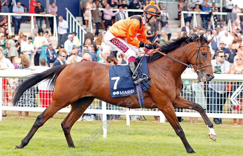 Hermoso-Mundo-0002 
 HERMOSO MUNDO (Oisin Murphy)
Newbury 20 Jul 2019 - Pic Steven Cargill / Racingfotos.com